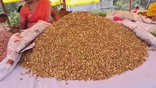 GOAN REPORTER: Tousheanchem Fest