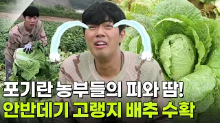 해피 벌쓰데이: 서태훈의 강원특별자치도 강릉시 [2TV 생생정보] | KBS 260903 방송