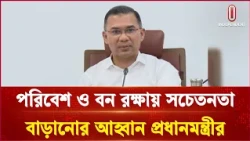 পরিবেশ ও বন রক্ষায় সচেতনতা বাড়ানোর আহ্বান প্রধানমন্ত্রীর | Prime Minister | Independent TV