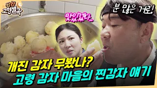 기웅 아재의 포슬포슬 개진감자 먹방! 할매표 맛나게 삶는 법 꿀팁도🥔