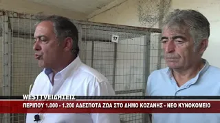 ΠΕΡΙΠΟΥ 1.000 ΜΕ 1.200 ΑΔΕΣΠΟΤΑ ΖΩΑ ΣΤΟ ΔΗΜΟ ΚΟΖΑΝΗΣ - ΔΗΛΩΣΕΙΣ ΔΗΜΑΡΧΟΥ & ΑΝΤΙΔΗΜΑΡΧΟΥ