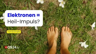 Antioxidant from the Earth: What Electrons Have to Do with Inflammation | Empirical Medicine | QS24