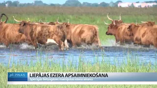 Liepājas ezerā ar speciālo tehniku pļaus un izvāks ūdensaugus