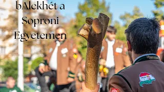 A Soproni Egyetem bAlekhete