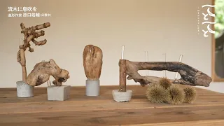[Te to Te to] Breathing New Life into Driftwood - Episode 41: Sculptor Kosuke Haraguchi - Turning...