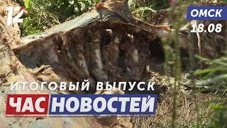 Livestock Carcasses Dumped Near Garden Community / New Alley on Omsk Embankment / Alcohol-Free We...