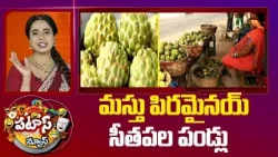 Sitaphal Fruit Price Drop : మస్తు పిరమైనయ్ సీతపల పండ్లు | Patas News | 10TV News