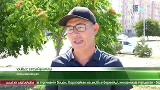 Айлант ағашын егуді тоқтату қажет - қоғам белсендісі