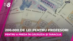 Indemnizații pentru profesorii din sud: Ministerul Educației vrea mai mulți dascăli de limba română