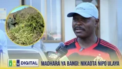 NILILALA NIMEVUTA BANGI NIKAOTA NIPO ULAYA