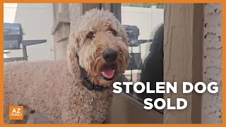 Stolen dog returned to owner after being sold for $700 outside Phoenix mall