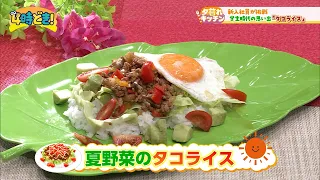 【レシピ動画】新入社員が挑戦！学生時代の思い出！『夏野菜のタコライス』　2026年7月9日（木）「4時どき！」