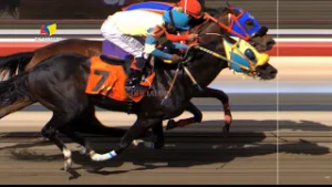 5ª. carrera | 1ª. válida | BROTHER WILL | Hipódromo La Rinconada | Reunión 08 | 2026