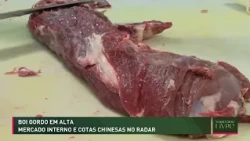 Cattle prices on the rise: domestic market and Chinese quotas on the radar