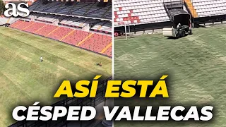 Nueva imagen del CÉSPED del ESTADIO de VALLECAS: su estado actual