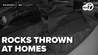 Maryland man arrested after terrorizing neighborhoods throwing rocks in windows