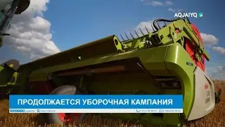ПРОДОЛЖАЕТСЯ УБОРОЧНАЯ КАМПАНИЯ