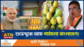 এবার শুভেন্দু অধিকারীর কাছে আম উপহার পাঠালো বাংলাদেশ সরকার | Mango | Suvendu Adhikari | ATN News