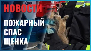 Firefighter rescues a puppy from a burning building during a major fire in Aktobe