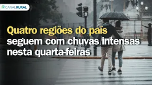 Quatro regiões do país seguem com chuvas intensas nesta quarta-feira | Previsão do tempo | 24h