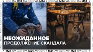 После скандала с Додобоней все «Додо Пиццы» станут pet-friendly