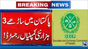 Business Boom: Thousands of Companies Registered in Pakistan - Breaking News - 24 News HD