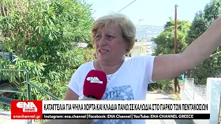 Καταγγελία για ψηλά χόρτα και κλαδιά πάνω σε καλώδια στο Πάρκο των Πεντακοσίων