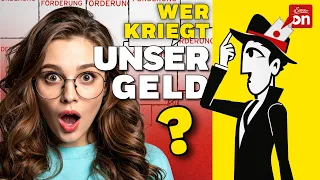 33 Milliarden Euro versenkt: Österreichs System außer Kontrolle | Auf den Punkt gebracht