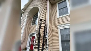 Experts warn: Using fire to kill bugs, weeds is not a good idea
