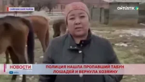 ПОЛИЦИЯ НАШЛА ПРОПАВШИЙ ТАБУН ЛОШАДЕЙ И ВЕРНУЛА ХОЗЯИНУ