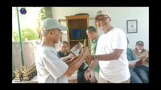 Barbary dove breeders stay enthusiastic about competing and always show up