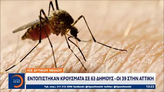 Ιός δυτικού Νείλου: Εντοπίστηκαν κρούσματα σε 63 δήμους - Οι 39 στην Αττική