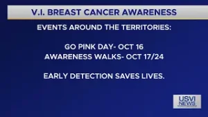 VI Breast Cancer Awareness