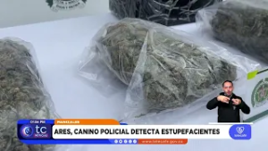 Incautan 2 kilos de marihuana en Manizales con destino a Villamaría desde Cali