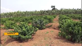 Agri-Connect Stakeholders’ Meeting | Farmers Call for Affordable Financing to Boost Value Chains