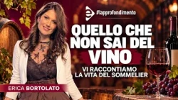 WHAT YOU DON'T KNOW ABOUT WINE