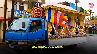 🙏✨ ශ්‍රී ආනන්ද මහා සෑ රජාණන් වහන්සේගේ උතුම් කොත් වහන්සේ වන්දනා කරගැනීමට දුර්ලභ අවස්ථාවක්! ✨🙏
