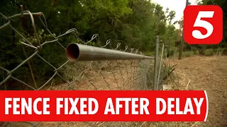 Tree Service Returns to Fix Fence in Nashville After Damage