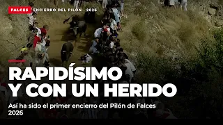Rapidísimo y con un herido: primer encierro del Pilón de Falces 2026