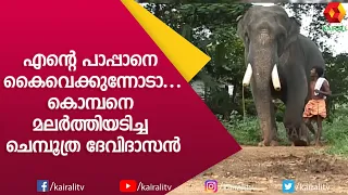ആനപ്രേമികളുടെ പ്രിയങ്കരനായ ചെമ്പൂത്ര ദേവീദാസൻ | E for Elephant ,Chemboothra Devidasan