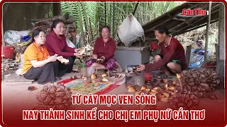 From Riverbank Plant to Livelihood for Can Tho Women | CT-TDT
