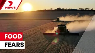 Australia’s food security facing triple threat | 7NEWS