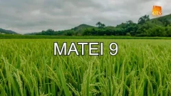 Bible Reading: Matthew 9