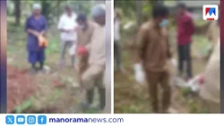Two wild boars shot dead after falling into well | Kozhikode | Civil Station | Wild Boar