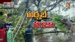 పశ్చిమగోదావరిలో అర్నబ్ తుఫాన్ విధ్వంసం  | Cyclone Arnab Damages Power Lines in West Godavari | 10TV