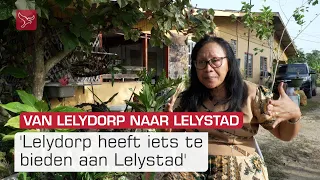 'Een standbeeld van Lely zou mooi zijn voor Lelydorp'