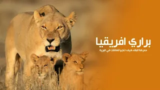 براري افريقيا : معركة البقاء في أشرس بقعة على كوكب الأرض | كويست عربية