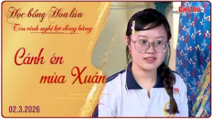 Cánh én mùa Xuân | Học bổng Hoa lúa 02.3.2026 | Cần Thơ