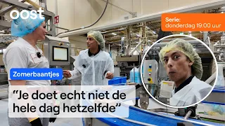 Working in a factory: what's it like? | Testing Summer Jobs | RTV Oost