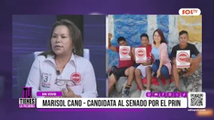 Elecciones 2026: Marisol Cano afirma que no habrá más ampliaciones del Reinfo en gobierno del PRIN